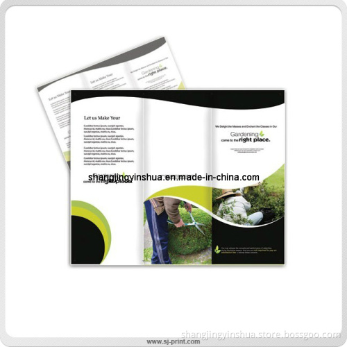 New Products Promotion Saddle Colored Brochure (PB009)